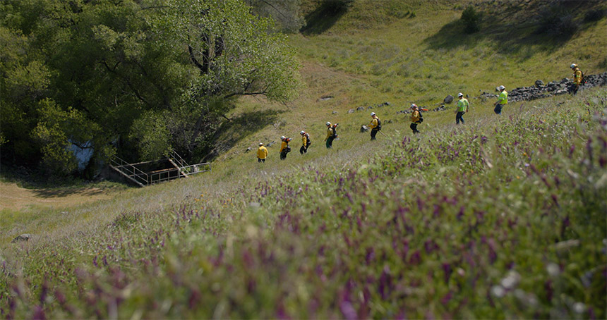 A line of people in hard hats walking down a mountain side covered in wild flowers