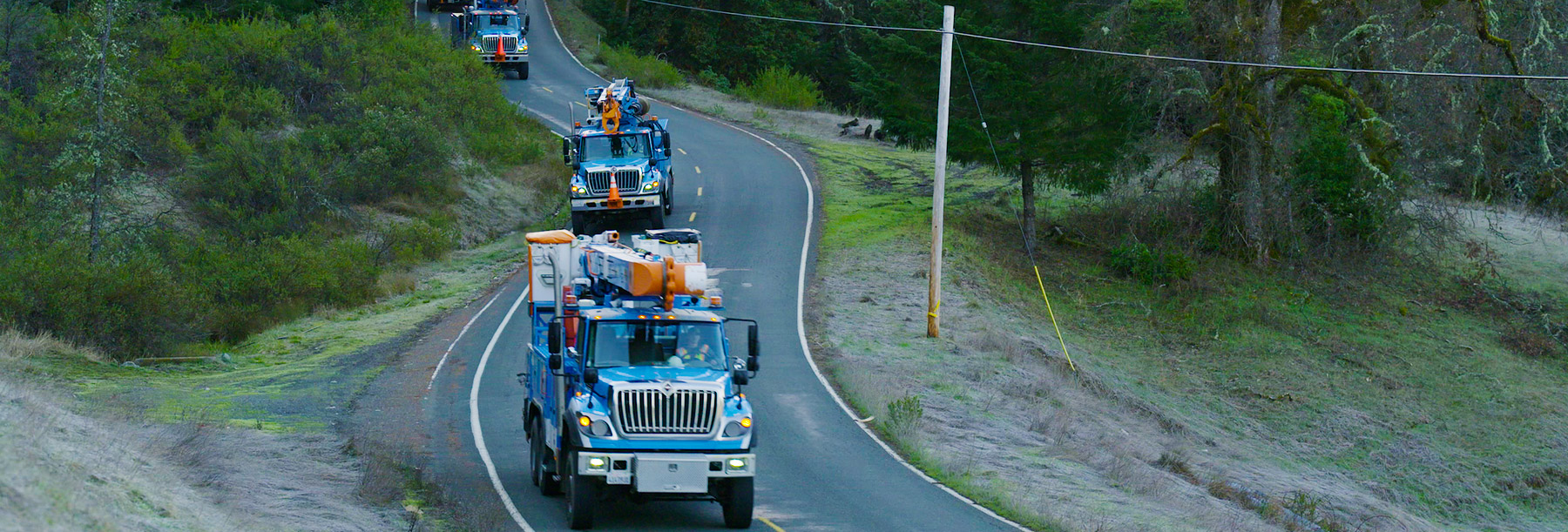 A fleet of PG&E trucks driving down a road in the woods